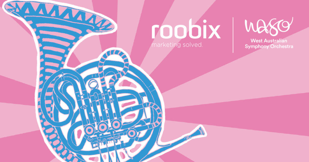 WASO & roobix partnership